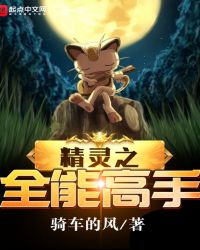 精灵之全能高手章节列表