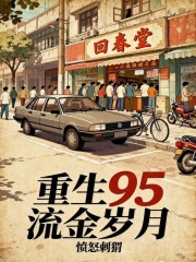 重生95流金岁月章节列表