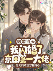 退婚当天，我闪婚了京圈第一大佬章节列表