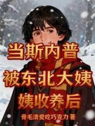 当斯内普被东北大姨收养后章节列表