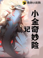 小金奇妙险记章节列表