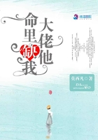 大佬他命里缺我章节列表