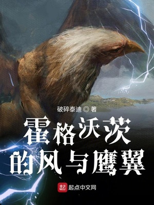 霍格沃茨的风与鹰翼章节列表